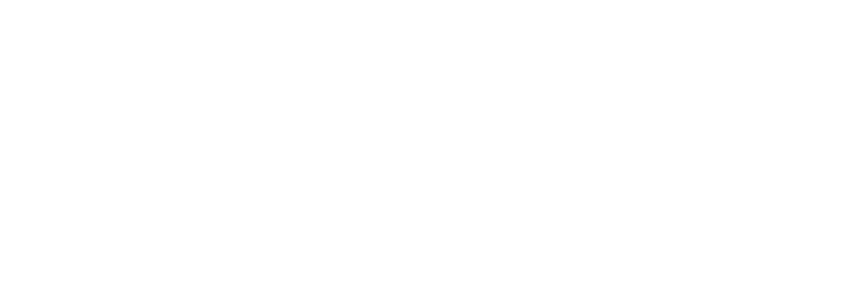 LaundryLady